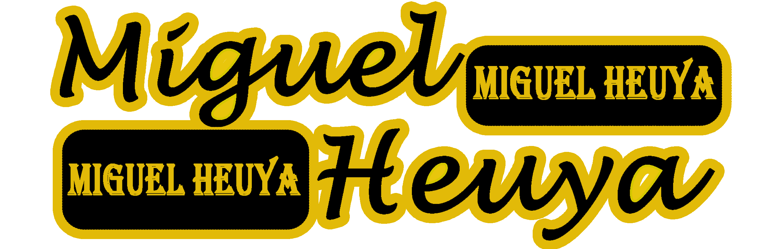 HSML Logo